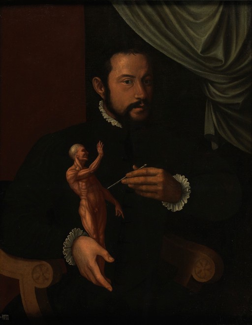A man holding an écorché statuette. Oil painting.
