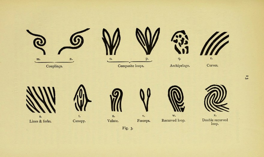 Classification system of patterns, Henry Faulds, 1905