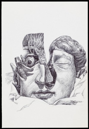 view A human head partially dissected and seen from the front. Drawing by R. Ennis, 2007.