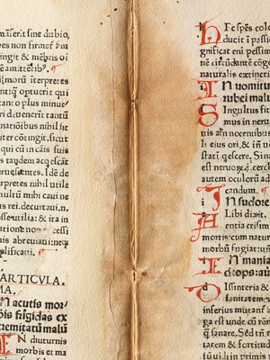 view Conservation treatment for Articella, EPB incunabula 1.f.2.