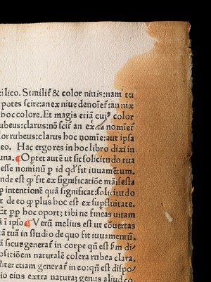 view Conservation treatment for Articella, EPB incunabula 1.f.2.