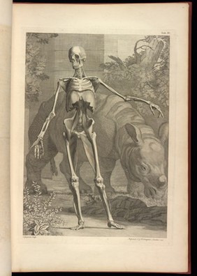 Tables of the skeleton and muscles of the human body ... / Translated from the Latin.