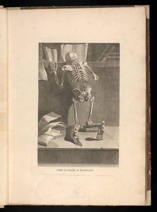 Nouveau recueil d'ostéologie et de myologie, dessiné d'après nature / par Jacques Gamelin de Carcassone.