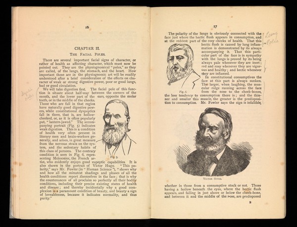 The face as indicative of character / by Alfred T. Story.