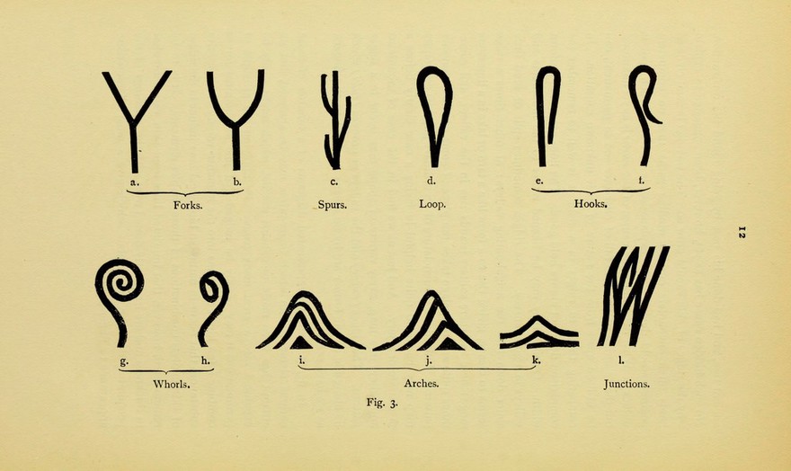 Classification system of patterns, Henry Faulds, 1905