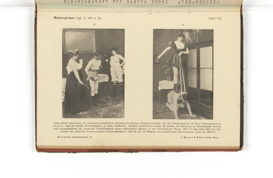 Sexualpathologie : ein Lehrbuch für Ärzte und Studierende / von Magnus Hirschfeld.