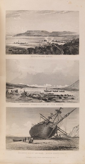 Narrative of the surveying voyages of His Majesty's ships Adventure and Beagle, between the years 1826 and 1836, describing their examination of the Southern shores of South America, and the Beagle's circumnavigation of the globe / [edited by R. Fitzroy].