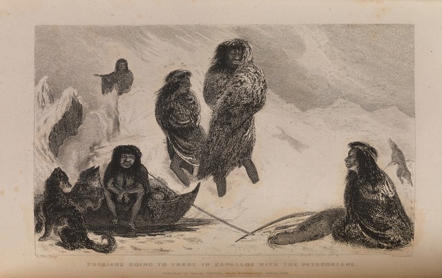Narrative of the surveying voyages of His Majesty's ships Adventure and Beagle, between the years 1826 and 1836, describing their examination of the Southern shores of South America, and the Beagle's circumnavigation of the globe / [edited by R. Fitzroy].