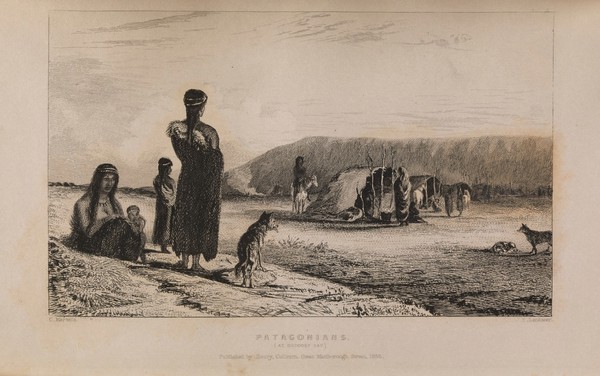 Narrative of the surveying voyages of His Majesty's ships Adventure and Beagle, between the years 1826 and 1836, describing their examination of the Southern shores of South America, and the Beagle's circumnavigation of the globe / [edited by R. Fitzroy].