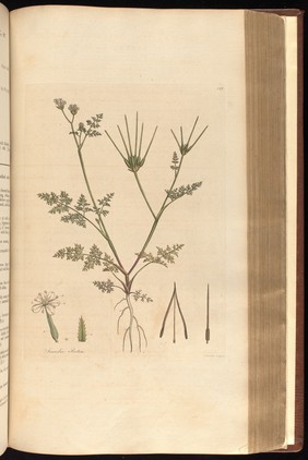 Flora Londinensis. Or Plates and descriptions of such plants as grow wild in the environs of London: with their places of growth, and times of flowering; their several names according to Linnæus and other authors: with a particular description of each plant in Latin and English. To which are added, their several uses in medicine, agriculture, rural œconomy and other arts / By William Curtis.