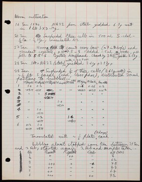 Page of lab notes entitled "worm cultivation".