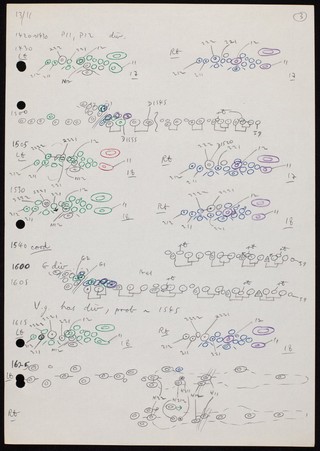 Coloured cell lineage drawings for the C. elegans worm tail.