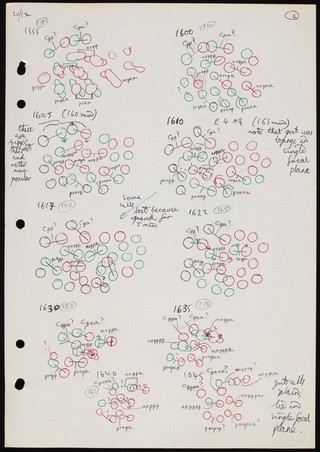 Coloured cell lineage drawings.