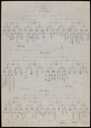 view Hand drawn draft cell lineage charts.