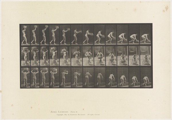 A woman putting a basket down. Collotype after Eadweard Muybridge, 1887.