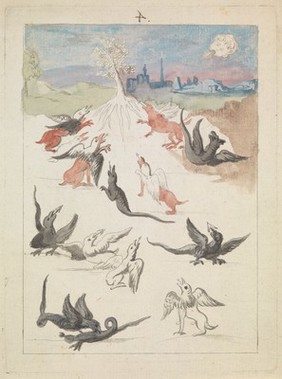 Dragons and griffins around a lone flowering tree in a landscape on the outskirts of a town; representing a stage in the alchemical process. Coloured etching after etching, ca. 17th century.