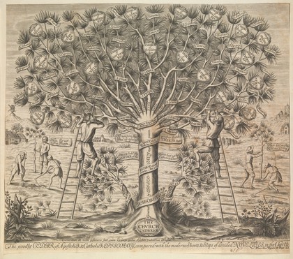 A great cedar tree representing the Catholic church, contrasted with two smaller trees representing later denominations. Engraving after W. Cave, ca. 1675.