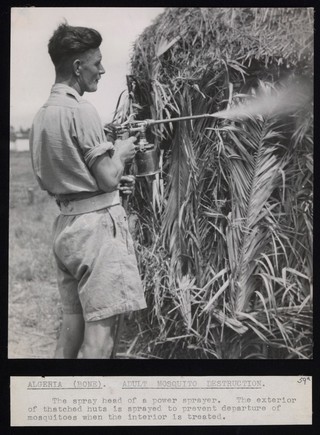 Annaba, Algeria: power spraying the exterior of thatched huts to prevent the departure of mosquitoes. Photograph, 1944.