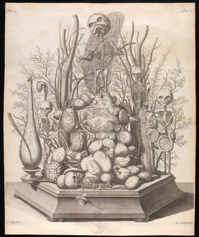 Thesaurus anatomicus primus [-decimus] ... Het eerste [-tiende] anatomisch cabinet / [Frederik Ruysch].