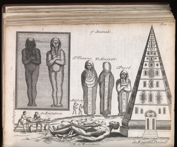 Plate showing different types of mummies and the mummification process.