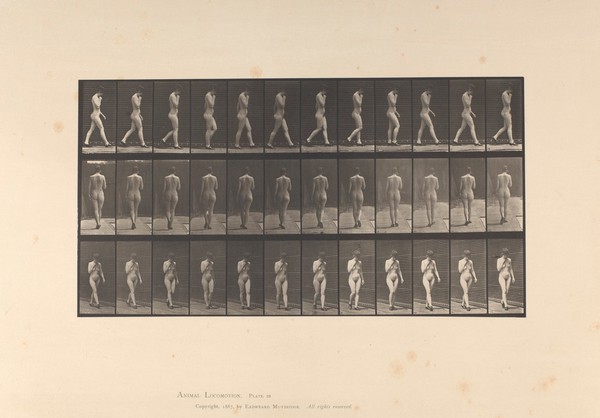 A naked woman walking. Collotype after Eadweard Muybridge, 1887.