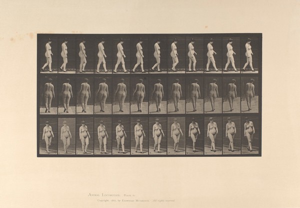 A naked woman walking. Collotype after Eadweard Muybridge, 1887.