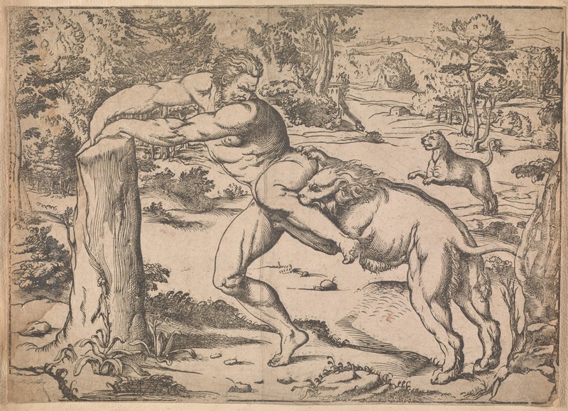 Milo of Croton. Woodcut by N. Boldrini after G.A. Pordenone., [between 1500 and 1599], by Il Pordenone