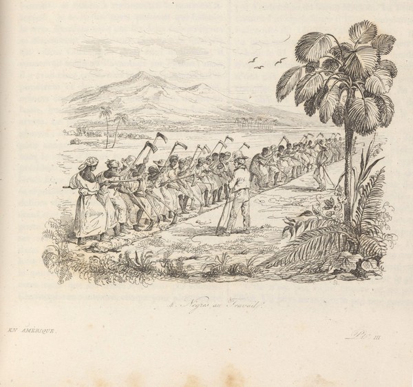 Voyage pittoresque dans les deux Amériques. Résumé général de tous les voyages de Colomb, Las-Casas, Oviedo ... Humboldt ... Franklin ... etc / par les rédacteurs du Voyage pittoresque autour du monde; publié sous la direction de M. Alcide d'Orbigny ... Accompagné de cartes et de nombreuses gravures ... d'après les dessins de MM. de Sainson ... et Jules Boilly.