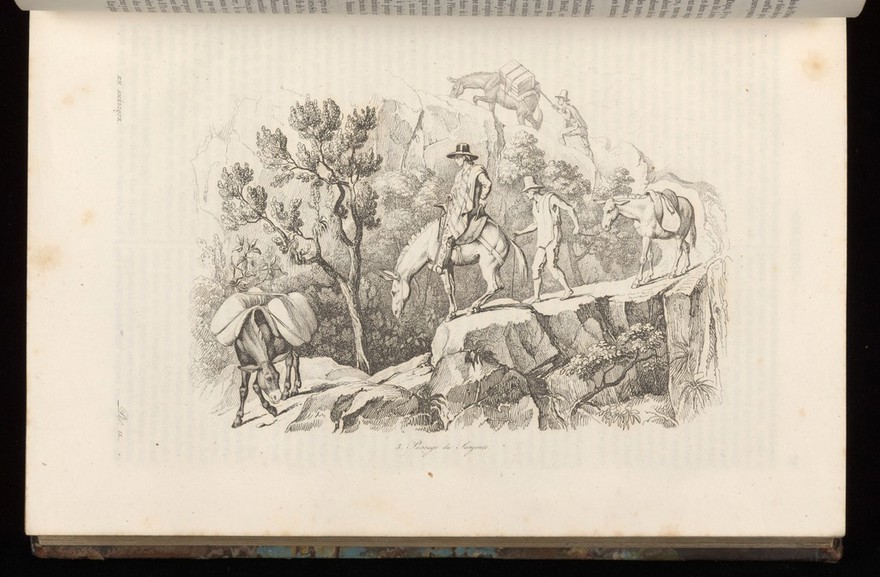 Voyage pittoresque dans les deux Amériques. Résumé général de tous les voyages de Colomb, Las-Casas, Oviedo ... Humboldt ... Franklin ... etc / par les rédacteurs du Voyage pittoresque autour du monde; publié sous la direction de M. Alcide d'Orbigny ... Accompagné de cartes et de nombreuses gravures ... d'après les dessins de MM. de Sainson ... et Jules Boilly.