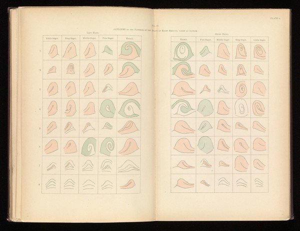 Finger prints / by Francis Galton.