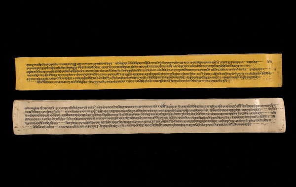 A copy of the tantric work Nihsvasatattvasamhita transcribed by Bauddhaesevita Vajracarya for Dr Paira Mall (1874 - 1957) in Katmandu, Nepal, c. 1912, from a palm-leaf manuscript.