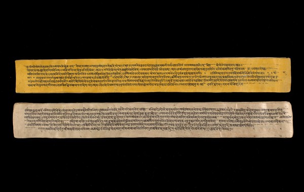 A copy of the tantric work Nihsvasatattvasamhita transcribed by Bauddhaesevita Vajracarya for Dr Paira Mall (1874 - 1957) in Katmandu, Nepal, c. 1912, from a palm-leaf manuscript.