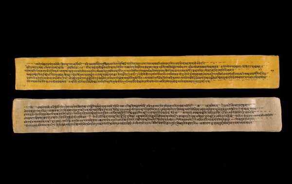 A copy of the tantric work Nihsvasatattvasamhita transcribed by Bauddhaesevita Vajracarya for Dr Paira Mall (1874 - 1957) in Katmandu, Nepal, c. 1912, from a palm-leaf manuscript.