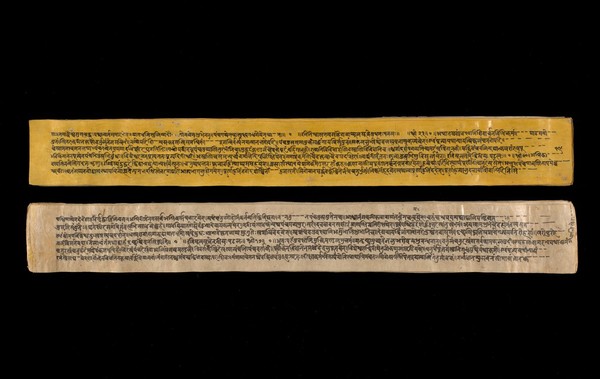 A copy of the tantric work Nihsvasatattvasamhita transcribed by Bauddhaesevita Vajracarya for Dr Paira Mall (1874 - 1957) in Katmandu, Nepal, c. 1912, from a palm-leaf manuscript.