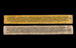 view A copy of the tantric work Nihsvasatattvasamhita transcribed by Bauddhaesevita Vajracarya for Dr Paira Mall (1874 - 1957) in Katmandu, Nepal, c. 1912, from a palm-leaf manuscript.