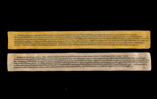 A copy of the tantric work Nihsvasatattvasamhita transcribed by Bauddhaesevita Vajracarya for Dr Paira Mall (1874 - 1957) in Katmandu, Nepal, c. 1912, from a palm-leaf manuscript.