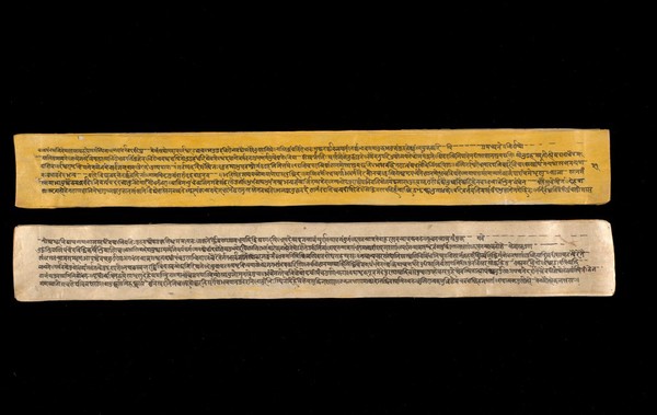 A copy of the tantric work Nihsvasatattvasamhita transcribed by Bauddhaesevita Vajracarya for Dr Paira Mall (1874 - 1957) in Katmandu, Nepal, c. 1912, from a palm-leaf manuscript.