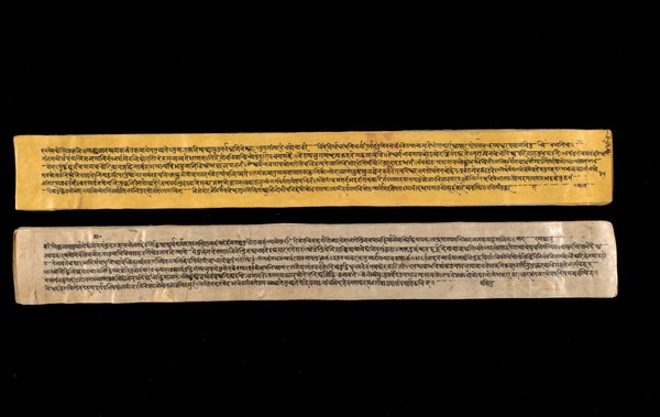 A copy of the tantric work Nihsvasatattvasamhita transcribed by Bauddhaesevita Vajracarya for Dr Paira Mall (1874 - 1957) in Katmandu, Nepal, c. 1912, from a palm-leaf manuscript.