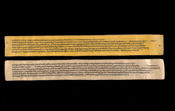 A copy of the tantric work Nihsvasatattvasamhita transcribed by Bauddhaesevita Vajracarya for Dr Paira Mall (1874 - 1957) in Katmandu, Nepal, c. 1912, from a palm-leaf manuscript.