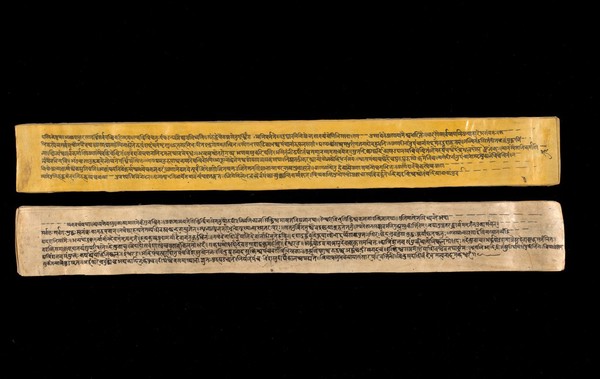 A copy of the tantric work Nihsvasatattvasamhita transcribed by Bauddhaesevita Vajracarya for Dr Paira Mall (1874 - 1957) in Katmandu, Nepal, c. 1912, from a palm-leaf manuscript.