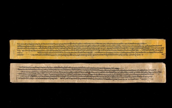 A copy of the tantric work Nihsvasatattvasamhita transcribed by Bauddhaesevita Vajracarya for Dr Paira Mall (1874 - 1957) in Katmandu, Nepal, c. 1912, from a palm-leaf manuscript.