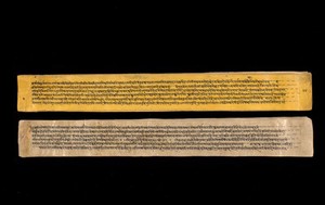 view A copy of the tantric work Nihsvasatattvasamhita transcribed by Bauddhaesevita Vajracarya for Dr Paira Mall (1874 - 1957) in Katmandu, Nepal, c. 1912, from a palm-leaf manuscript.