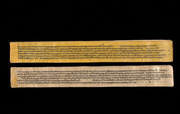 A copy of the tantric work Nihsvasatattvasamhita transcribed by Bauddhaesevita Vajracarya for Dr Paira Mall (1874 - 1957) in Katmandu, Nepal, c. 1912, from a palm-leaf manuscript.