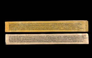 view A copy of the tantric work Nihsvasatattvasamhita transcribed by Bauddhaesevita Vajracarya for Dr Paira Mall (1874 - 1957) in Katmandu, Nepal, c. 1912, from a palm-leaf manuscript.