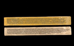 view A copy of the tantric work Nihsvasatattvasamhita transcribed by Bauddhaesevita Vajracarya for Dr Paira Mall (1874 - 1957) in Katmandu, Nepal, c. 1912, from a palm-leaf manuscript.