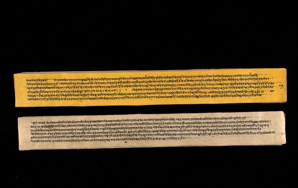 A copy of the tantric work Nihsvasatattvasamhita transcribed by Bauddhaesevita Vajracarya for Dr Paira Mall (1874 - 1957) in Katmandu, Nepal, c. 1912, from a palm-leaf manuscript.