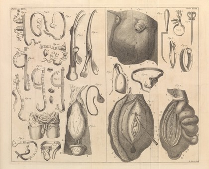 Table XLVI-XLVII. A medicinal dictionary, 1743-45.