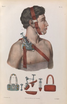 Plate 19, Bourgery and Jacob, Iconografia d'anatomia, 1841.