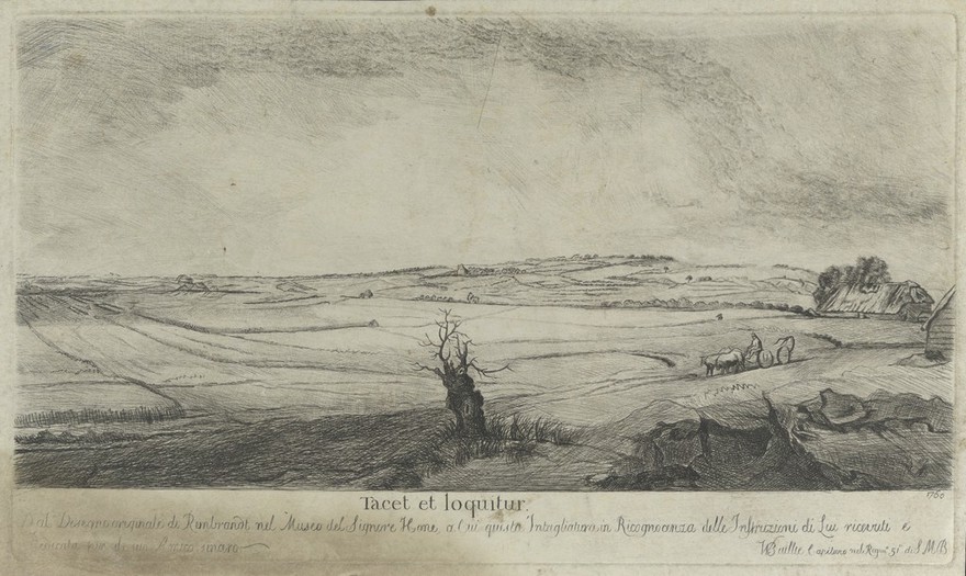 A Dutch landscape: fields, a farmer in an oxcart, and, in the centre foreground, a dead tree. Etching by W. Baillie, 1760.