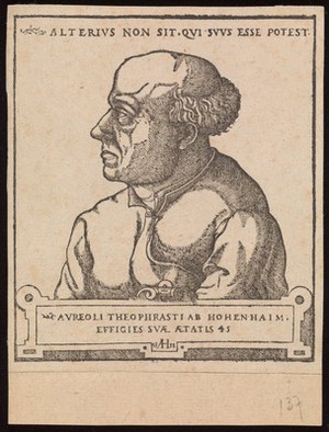 view Aureolus Theophrastus Bombastus von Hohenheim [Paracelsus]. Woodcut by A. Hirschvogel, 1538.